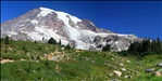 Stitched shot of Mt. Rainier from the Panorama Point trail (1)